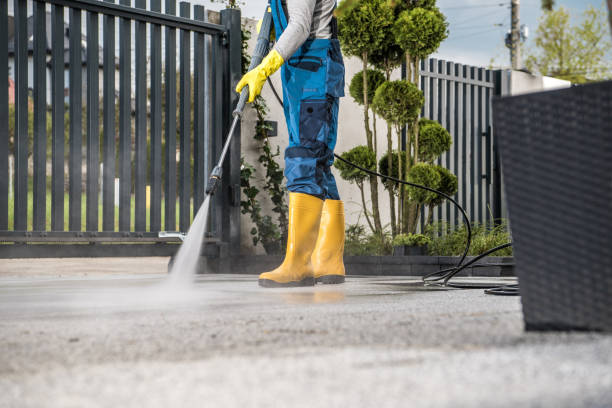 Best Parking Lot and Garage Cleaning  in Carrington, ND