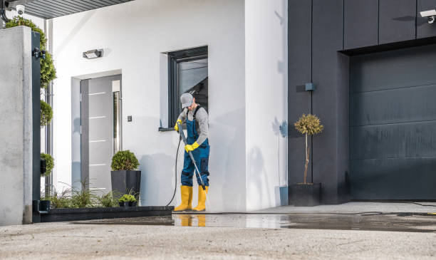 Best Sidewalk and Walkway Cleaning  in Carrington, ND